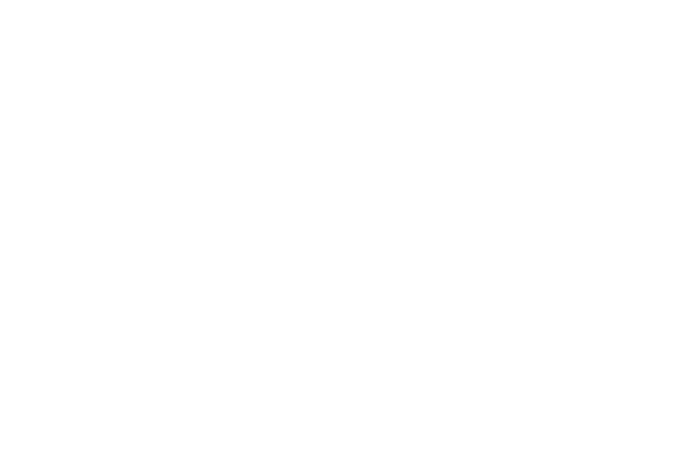 iipp